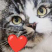 ヒメ日記 2025/10/12 22:12 投稿 もえ 越谷熟女デリヘル マダムエプロン