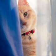 ヒメ日記 2025/10/17 15:30 投稿 もえ 越谷熟女デリヘル マダムエプロン