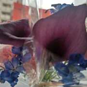 ヒメ日記 2025/10/22 11:57 投稿 もえ 越谷熟女デリヘル マダムエプロン