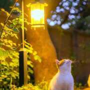 ヒメ日記 2025/10/24 12:18 投稿 もえ 越谷熟女デリヘル マダムエプロン