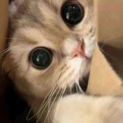 ヒメ日記 2025/10/24 16:38 投稿 もえ 越谷熟女デリヘル マダムエプロン