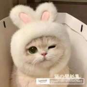 ヒメ日記 2025/10/25 10:43 投稿 もえ 越谷熟女デリヘル マダムエプロン