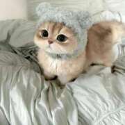 ヒメ日記 2025/10/27 13:03 投稿 もえ 越谷熟女デリヘル マダムエプロン