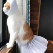 ヒメ日記 2025/10/28 15:32 投稿 もえ 越谷熟女デリヘル マダムエプロン