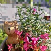 ヒメ日記 2025/10/29 10:31 投稿 もえ 越谷熟女デリヘル マダムエプロン