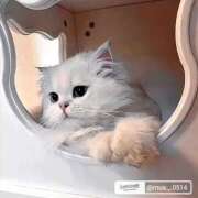 ヒメ日記 2025/11/20 18:46 投稿 もえ 越谷熟女デリヘル マダムエプロン