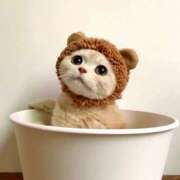 ヒメ日記 2025/12/09 11:17 投稿 もえ 越谷熟女デリヘル マダムエプロン