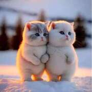 ヒメ日記 2025/12/14 10:15 投稿 もえ 越谷熟女デリヘル マダムエプロン