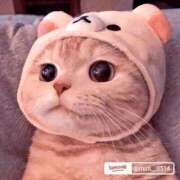 ヒメ日記 2025/12/16 11:23 投稿 もえ 越谷熟女デリヘル マダムエプロン