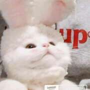 ヒメ日記 2025/12/16 16:12 投稿 もえ 越谷熟女デリヘル マダムエプロン