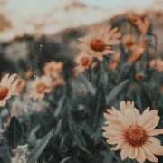 ヒメ日記 2026/01/31 17:36 投稿 もえ 越谷熟女デリヘル マダムエプロン