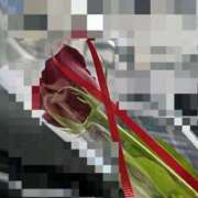 ヒメ日記 2026/02/09 08:43 投稿 もえ 越谷熟女デリヘル マダムエプロン