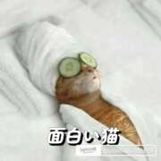 ヒメ日記 2026/02/10 13:33 投稿 もえ 越谷熟女デリヘル マダムエプロン