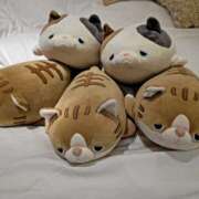 ヒメ日記 2026/03/29 11:14 投稿 もえ 越谷熟女デリヘル マダムエプロン