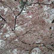 ヒメ日記 2026/04/01 21:58 投稿 もえ 越谷熟女デリヘル マダムエプロン