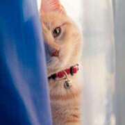 ヒメ日記 2026/04/02 22:07 投稿 もえ 越谷熟女デリヘル マダムエプロン