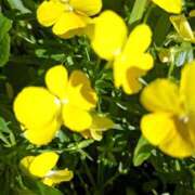 ヒメ日記 2026/04/04 21:46 投稿 もえ 越谷熟女デリヘル マダムエプロン