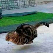 ヒメ日記 2026/04/14 17:44 投稿 もえ 越谷熟女デリヘル マダムエプロン