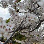 れお れお（スピード難波店） スピード難波店