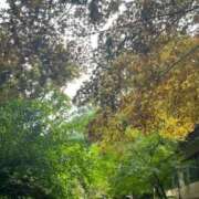 そら 🥪𓂃𓈒𓏸 Ｓ＆Ｍ　極嬢