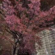 ヒメ日記 2026/03/13 22:39 投稿 らん オナクラ大人女子