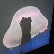 ヒメ日記 2026/01/06 15:25 投稿 ちゆり 丸の内