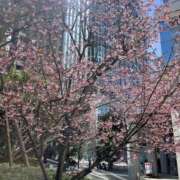 ヒメ日記 2026/03/04 10:47 投稿 あや 池袋で熟女の風俗 マダムいやーん