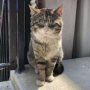 ヒメ日記 2026/03/05 11:17 投稿 あや 池袋で熟女の風俗 マダムいやーん