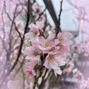 ヒメ日記 2026/03/19 11:22 投稿 あや 池袋で熟女の風俗 マダムいやーん