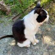 ヒメ日記 2025/10/11 23:37 投稿 阿部 ダイヤモンドクラブ