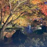 ヒメ日記 2026/01/11 22:37 投稿 阿部 ダイヤモンドクラブ