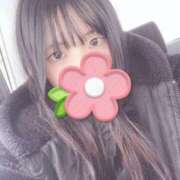 ヒメ日記 2025/12/29 18:30 投稿 さくら ぷるるん小町日本橋店