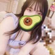 ヒメ日記 2026/02/19 12:35 投稿 さくら ぷるるん小町日本橋店