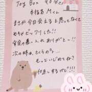 ヒメ日記 2026/03/14 19:04 投稿 さくら ぷるるん小町日本橋店