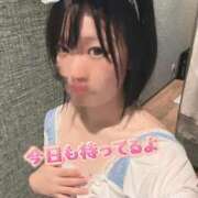 ヒメ日記 2025/09/30 15:21 投稿 ゆう 秋葉原鑑賞ガール