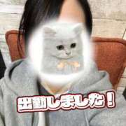 ヒメ日記 2025/10/21 13:27 投稿 ゆう 秋葉原鑑賞ガール