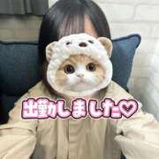 ヒメ日記 2025/10/22 13:07 投稿 ゆう 秋葉原鑑賞ガール