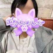 ヒメ日記 2025/10/25 12:57 投稿 ゆう 秋葉原鑑賞ガール