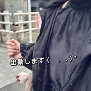 ヒメ日記 2025/10/28 17:01 投稿 ゆう 秋葉原鑑賞ガール