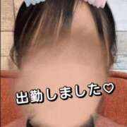 ヒメ日記 2025/10/29 13:07 投稿 ゆう 秋葉原鑑賞ガール