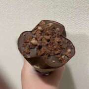 ヒメ日記 2026/03/11 00:15 投稿 ゆみ 人妻小旅行