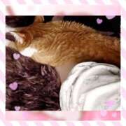 ヒメ日記 2025/09/20 13:35 投稿 こまち 水戸人妻花壇