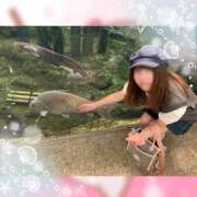 ヒメ日記 2025/10/23 14:03 投稿 こまち 水戸人妻花壇