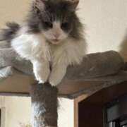 ヒメ日記 2025/10/27 02:16 投稿 こまち 水戸人妻花壇