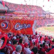 ヒメ日記 2025/10/31 15:08 投稿 こまち 水戸人妻花壇