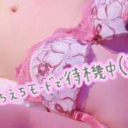 ヒメ日記 2025/09/14 21:13 投稿 ちひろ 山口下関ちゃんこ