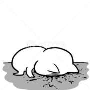 ヒメ日記 2026/04/06 13:26 投稿 前田みなこ 五十路マダム金沢店