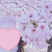 ヒメ日記 2026/04/08 14:58 投稿 前田みなこ 五十路マダム金沢店