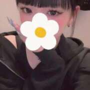 ヒメ日記 2025/10/08 10:21 投稿 御伽ありす（新人割引9/20迄） ウルトラグレイス24