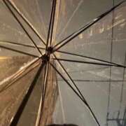 ヒメ日記 2025/10/31 18:38 投稿 御伽ありす（新人割引9/20迄） ウルトラグレイス24